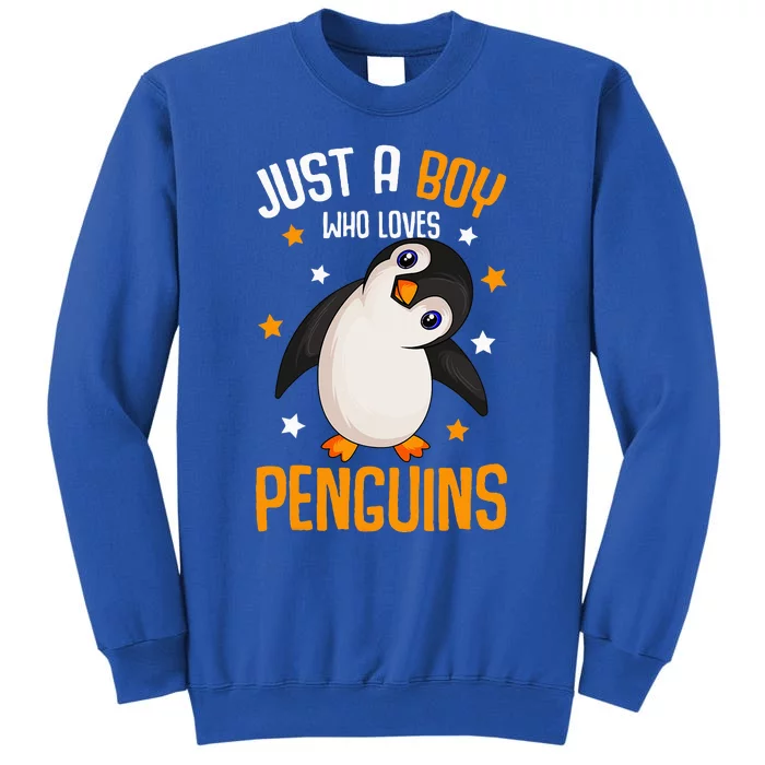 Just A Boy Who Loves Penguins Penguin Lover Tall Sweatshirt