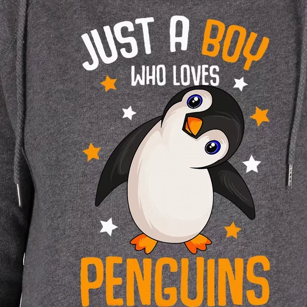 Just A Boy Who Loves Penguins Penguin Lover Womens Funnel Neck Pullover Hood