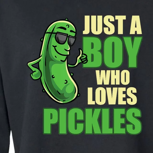 Just A Boy Who Loves Pickles Funny Pickle Boy Cropped Pullover Crew