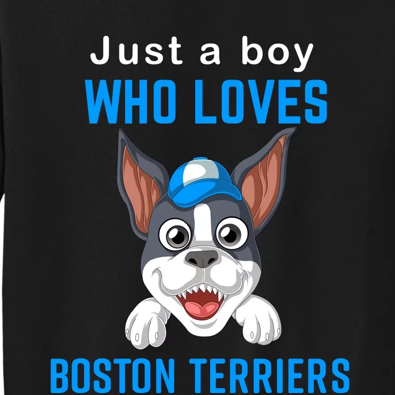 Just A Boy Who Loves Boston Terriers Sweatshirt