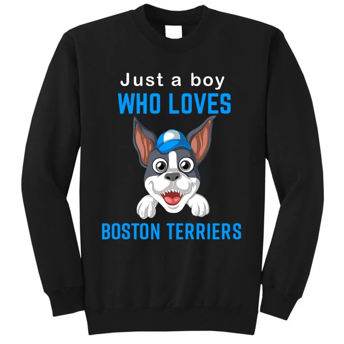 Just A Boy Who Loves Boston Terriers Sweatshirt