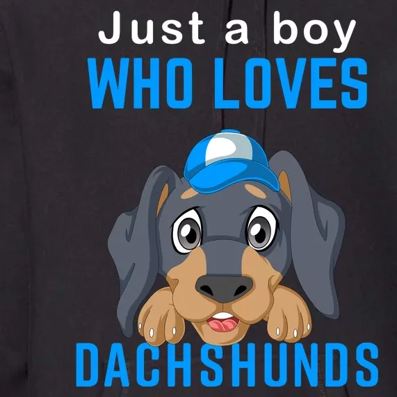 Just A Boy Who Loves Dachshunds Premium Hoodie