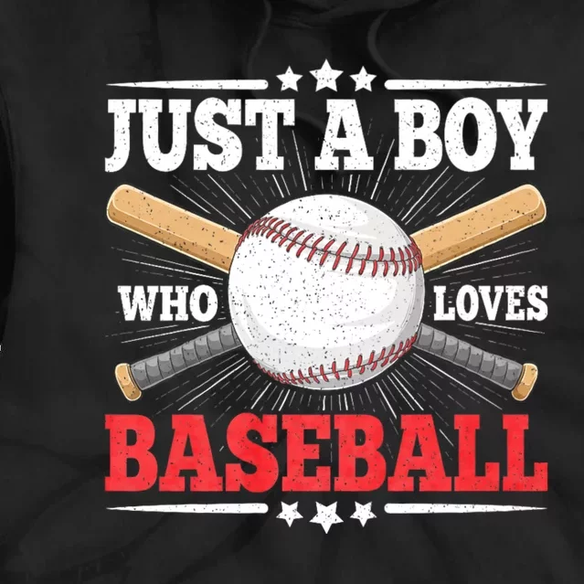 Just A Boy Who Loves Baseball Funny Baseball Player Tie Dye Hoodie