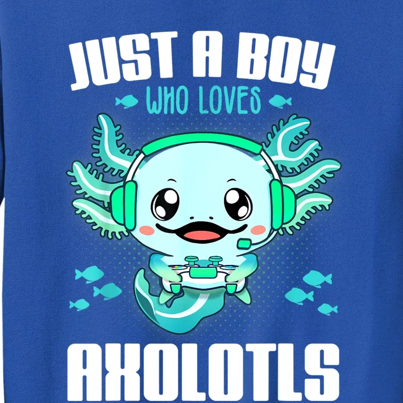 Just A Boy Who Loves Axolotls Funny Axolotl Gamer Kids Boys Tall Sweatshirt