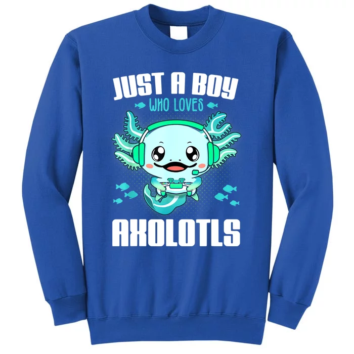 Just A Boy Who Loves Axolotls Funny Axolotl Gamer Kids Boys Tall Sweatshirt