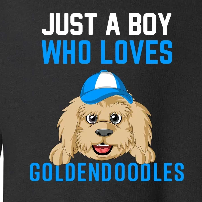 Just A Boy Who Loves Goldendoodles Toddler Sweatshirt