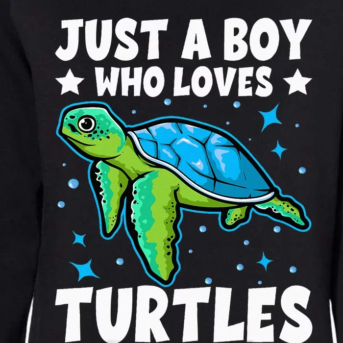 Just A Boy Who Loves Turtles Lover Gifts Sea Ocean Turtle Womens California Wash Sweatshirt