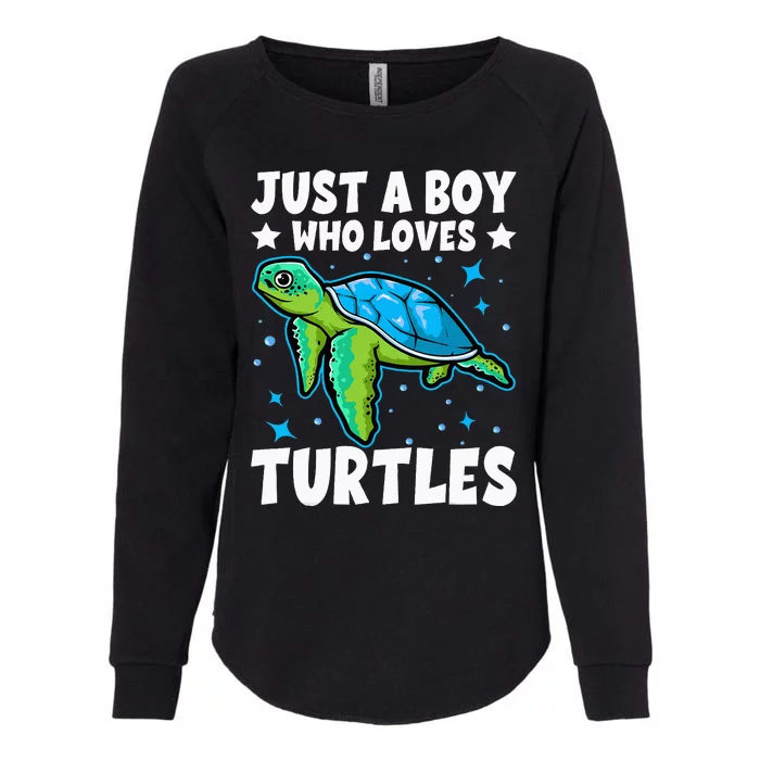 Just A Boy Who Loves Turtles Lover Gifts Sea Ocean Turtle Womens California Wash Sweatshirt