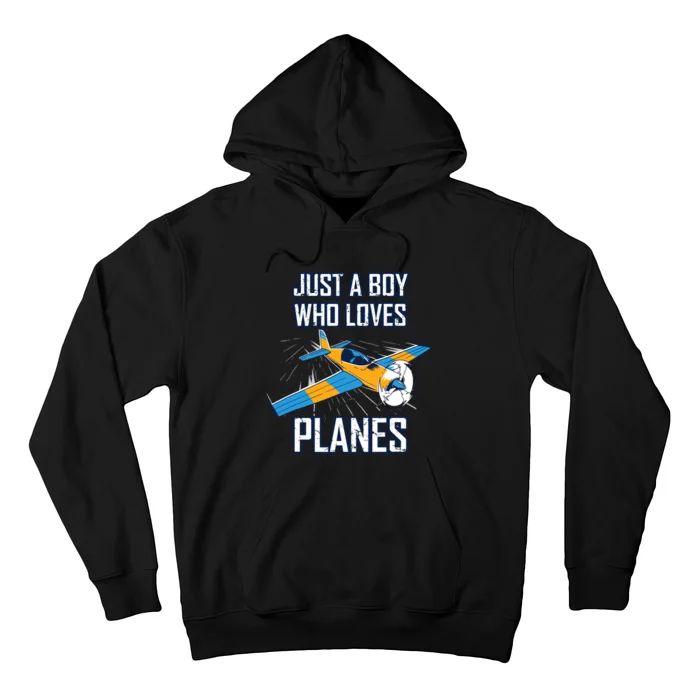 Just A Boy Who Loves Planes Hoodie