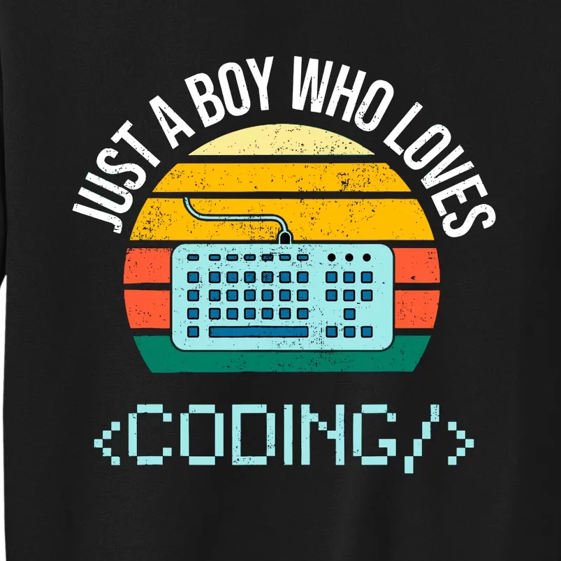 Just A Boy Who Loves Coding Computer Funny Tall Sweatshirt