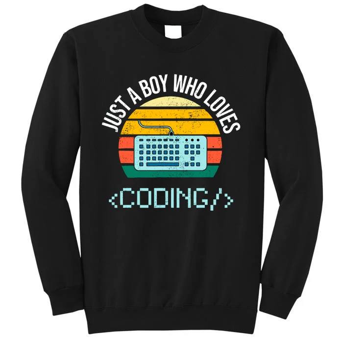 Just A Boy Who Loves Coding Computer Funny Tall Sweatshirt