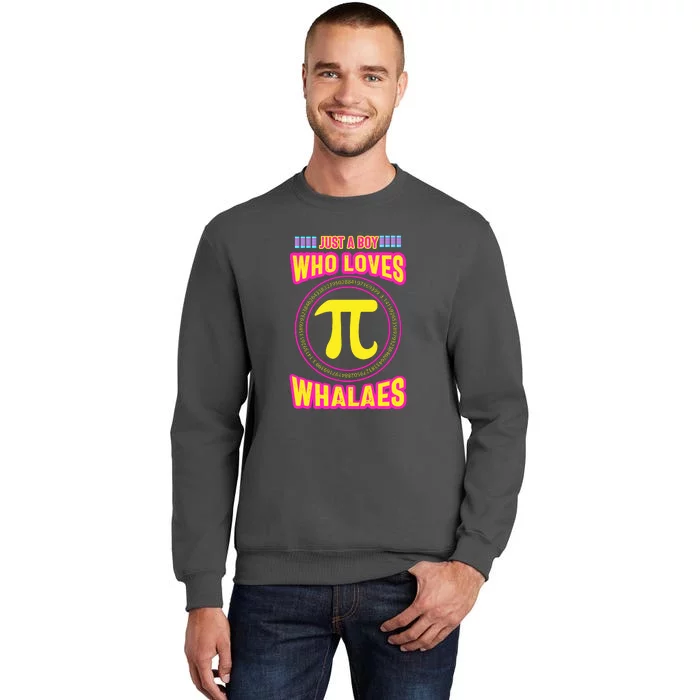 Just A Boy Who Loves Pi Whales Pi Day Tall Sweatshirt