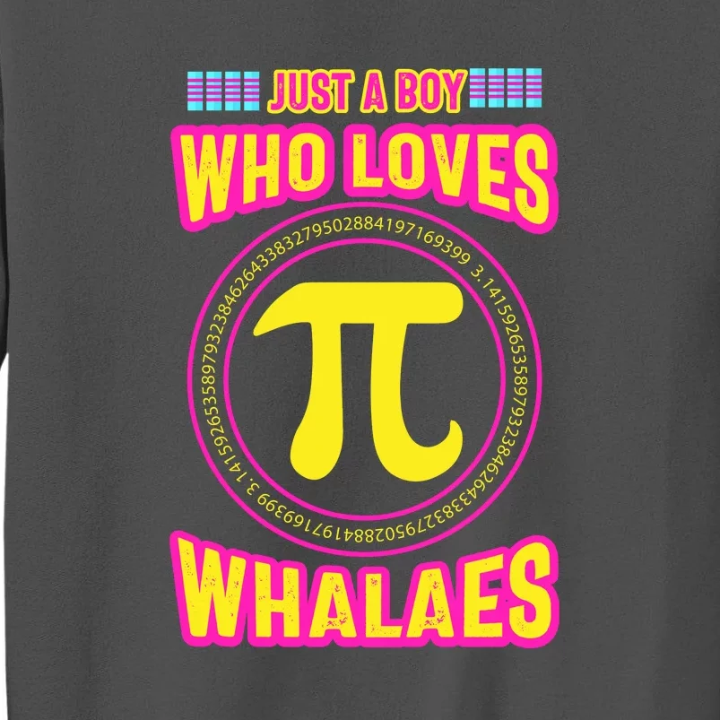 Just A Boy Who Loves Pi Whales Pi Day Tall Sweatshirt