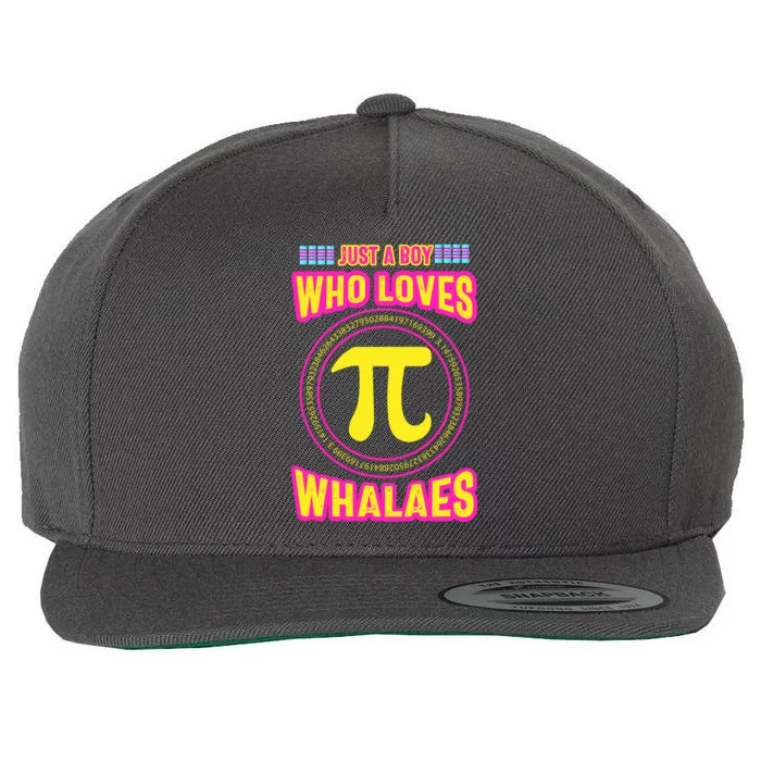 Just A Boy Who Loves Pi Whales Pi Day Wool Snapback Cap