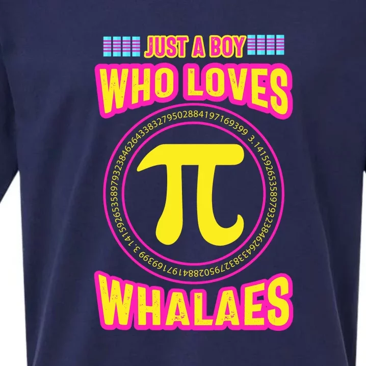 Just A Boy Who Loves Pi Whales Pi Day Sueded Cloud Jersey T-Shirt