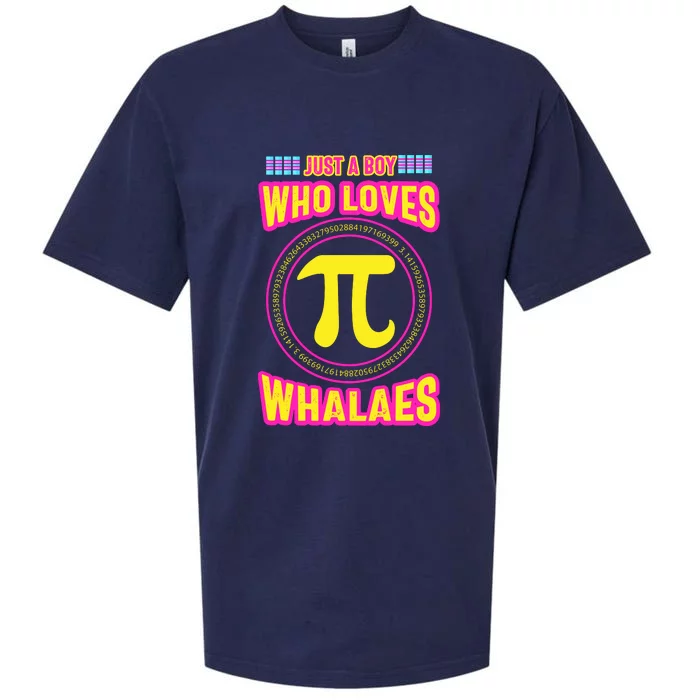 Just A Boy Who Loves Pi Whales Pi Day Sueded Cloud Jersey T-Shirt