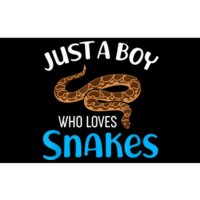 Just A Boy Who Loves Snakes Snake Lover Bumper Sticker