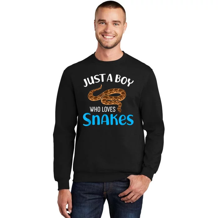 Just A Boy Who Loves Snakes Snake Lover Tall Sweatshirt