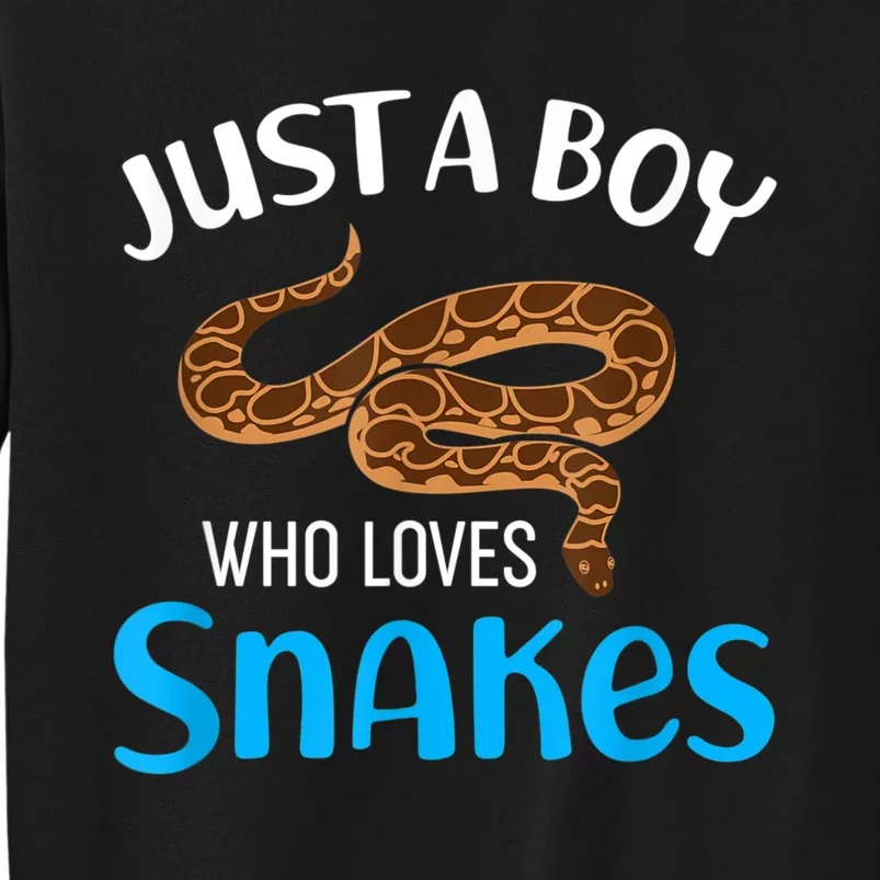 Just A Boy Who Loves Snakes Snake Lover Tall Sweatshirt