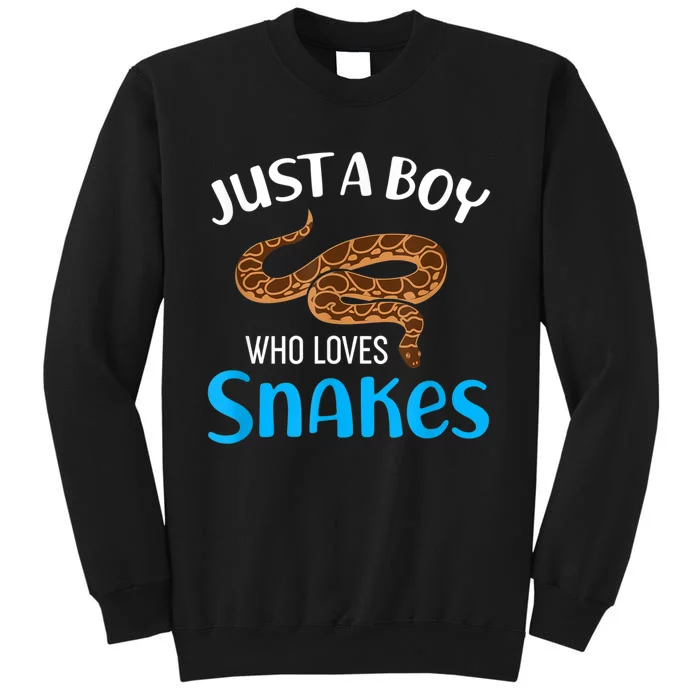 Just A Boy Who Loves Snakes Snake Lover Tall Sweatshirt