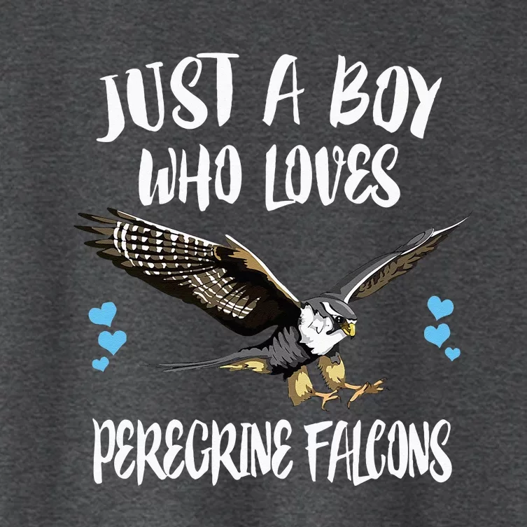 Just A Boy Who Loves Peregrine Birds Women's Crop Top Tee