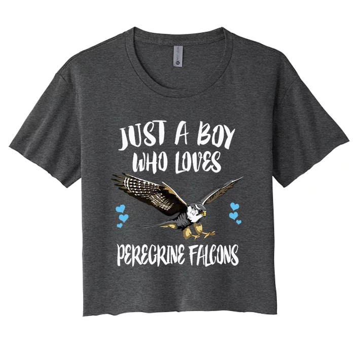 Just A Boy Who Loves Peregrine Birds Women's Crop Top Tee