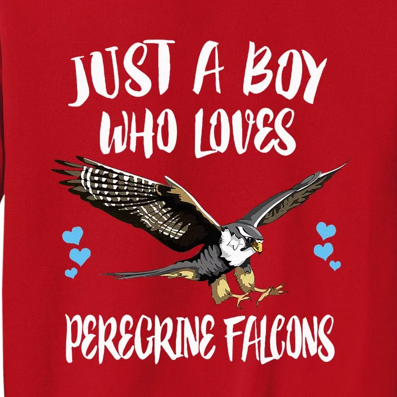 Just A Boy Who Loves Peregrine Birds Sweatshirt