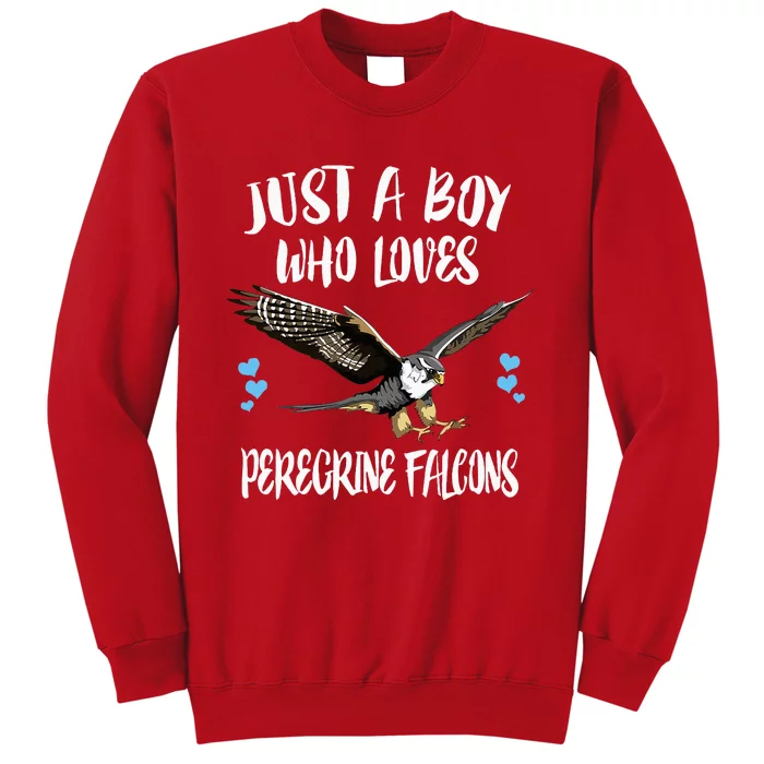 Just A Boy Who Loves Peregrine Birds Sweatshirt