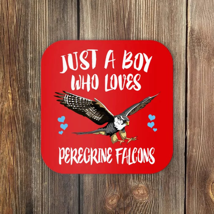 Just A Boy Who Loves Peregrine Birds Coaster