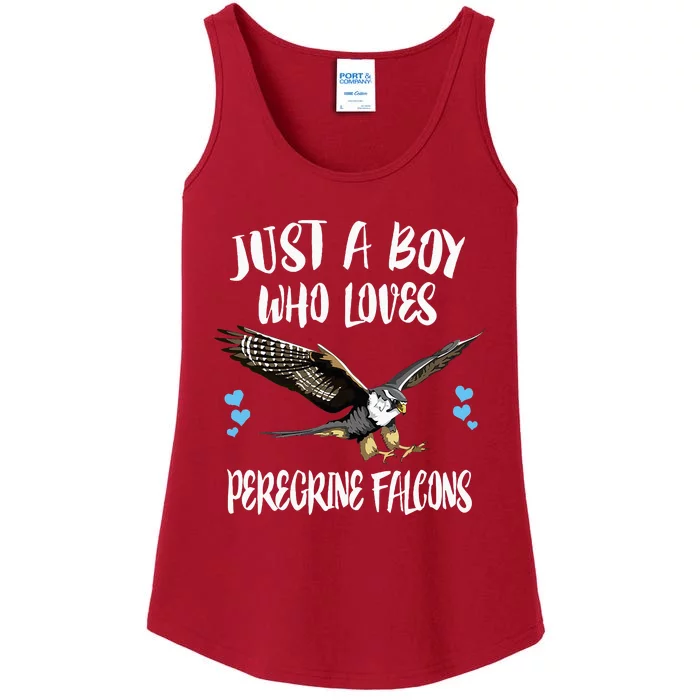 Just A Boy Who Loves Peregrine Birds Ladies Essential Tank