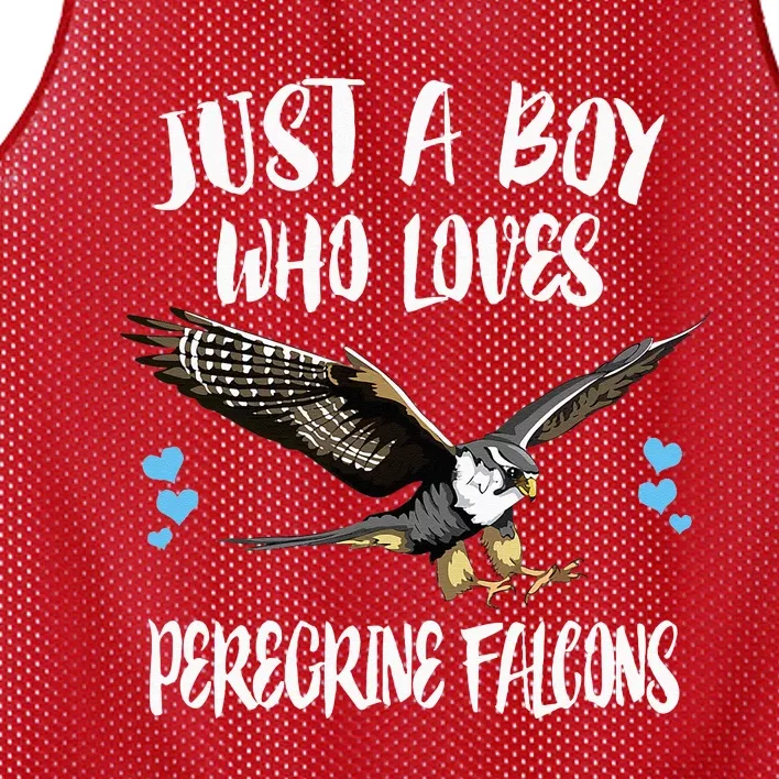 Just A Boy Who Loves Peregrine Birds Mesh Reversible Basketball Jersey Tank