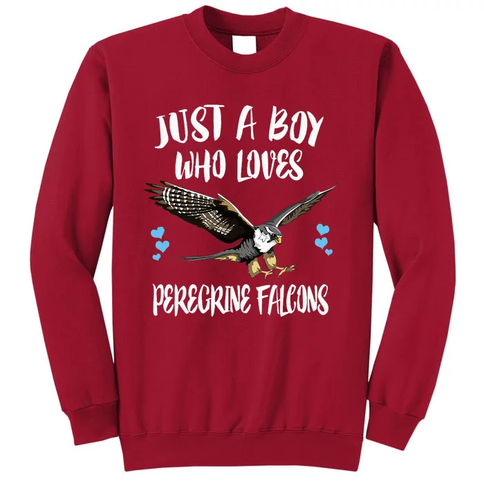 Just A Boy Who Loves Peregrine Birds Tall Sweatshirt