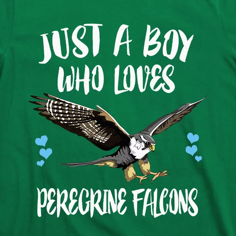 Just A Boy Who Loves Peregrine Birds T-Shirt