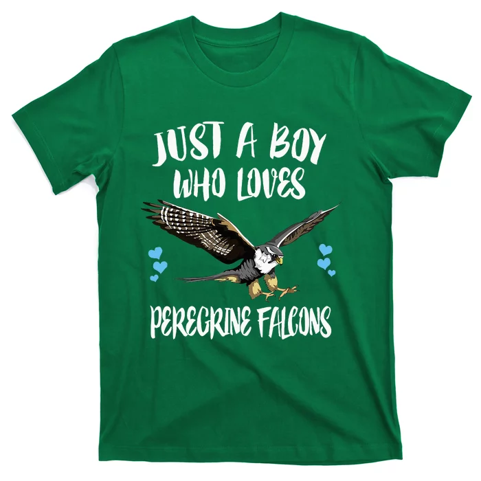 Just A Boy Who Loves Peregrine Birds T-Shirt