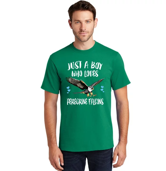 Just A Boy Who Loves Peregrine Birds Tall T-Shirt