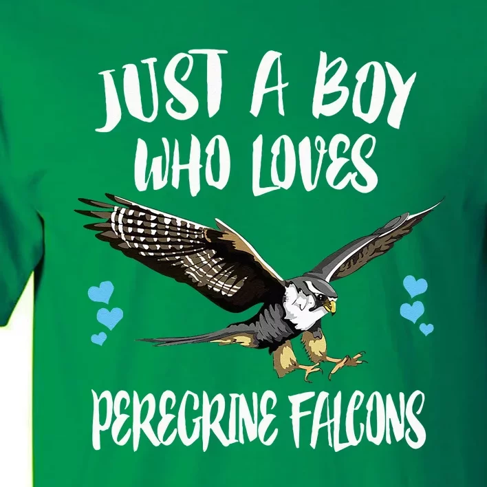 Just A Boy Who Loves Peregrine Birds Tall T-Shirt