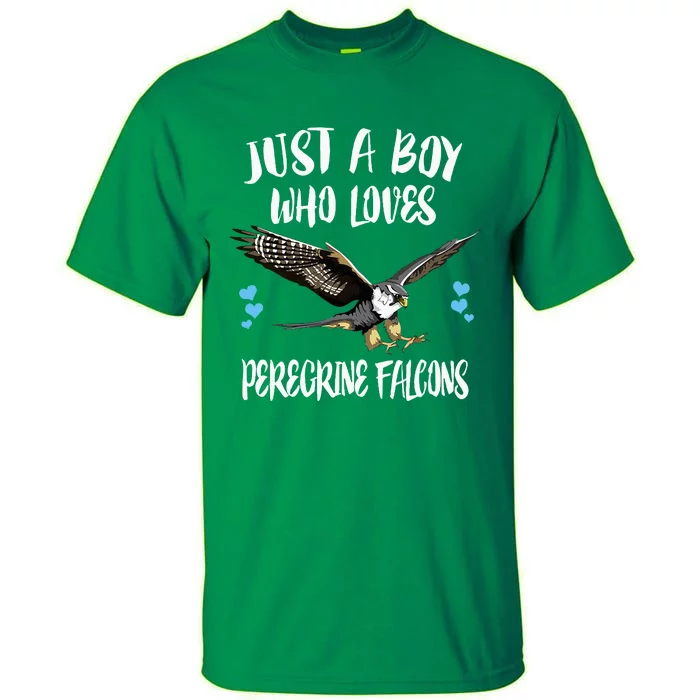 Just A Boy Who Loves Peregrine Birds Tall T-Shirt