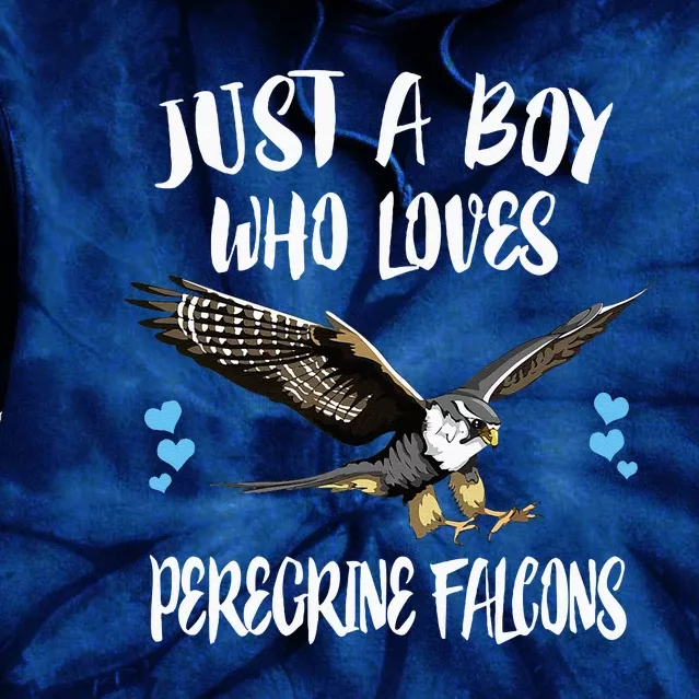 Just A Boy Who Loves Peregrine Birds Tie Dye Hoodie