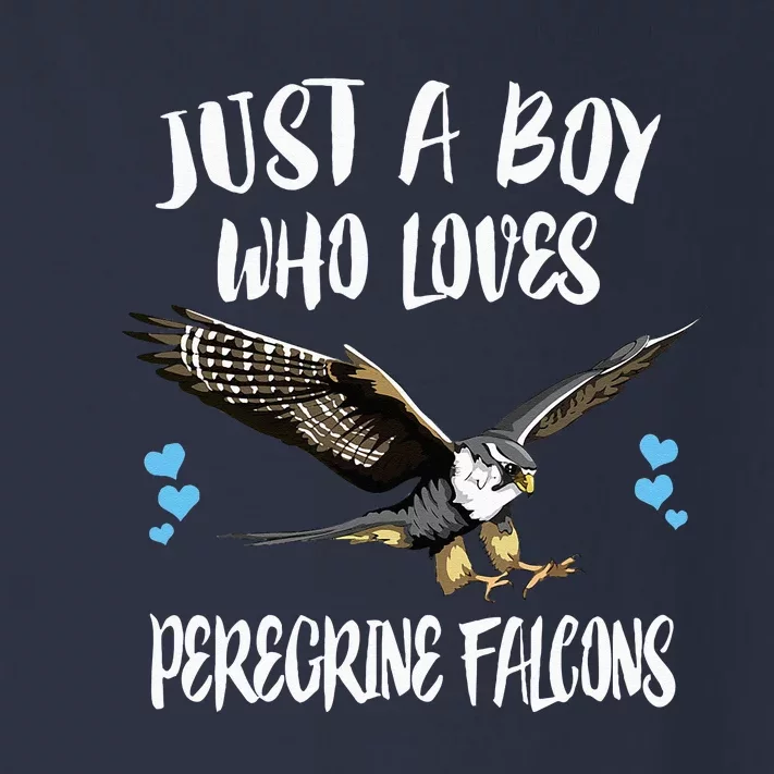 Just A Boy Who Loves Peregrine Birds Toddler Long Sleeve Shirt