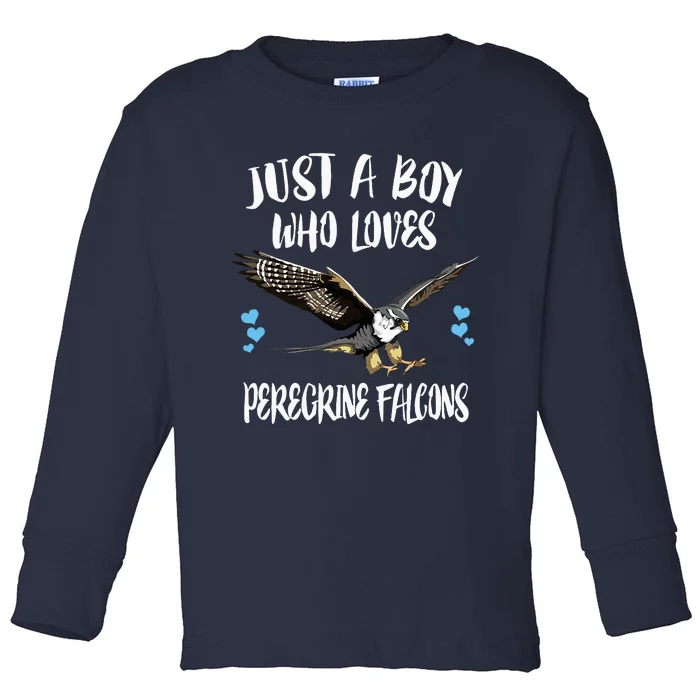 Just A Boy Who Loves Peregrine Birds Toddler Long Sleeve Shirt