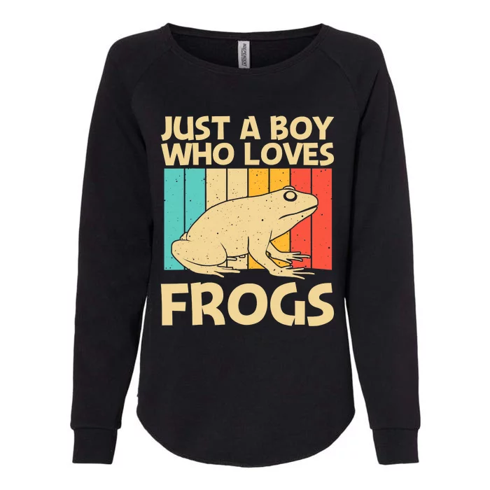 Just A Boy Who Loves Frogs Retro Vintage Womens California Wash Sweatshirt