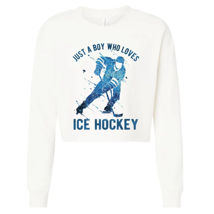 Just A_Boy Who Loves Ice Hockey Cropped Pullover Crew