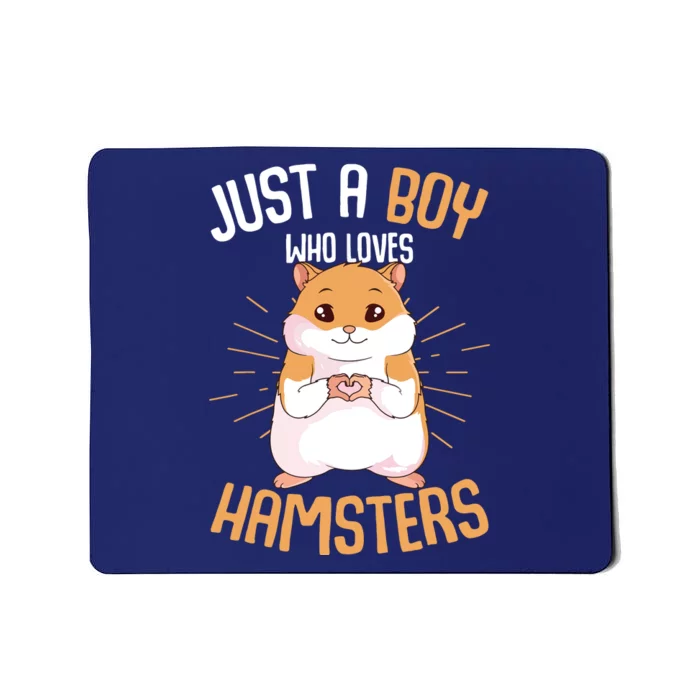 Just A Boy Who Loves Hamsters Hammy Boy Hamster Lover Mousepad