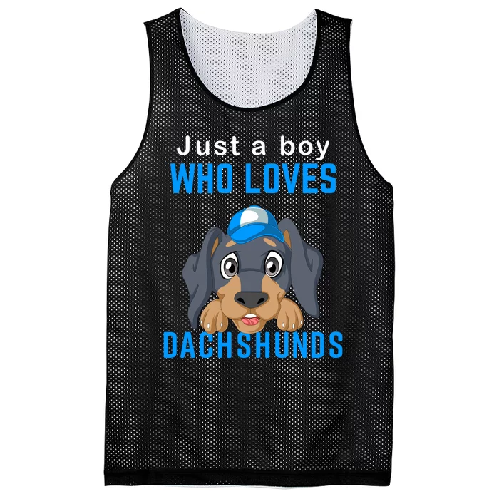 Just A Boy Who Loves Dachshunds Mesh Reversible Basketball Jersey Tank