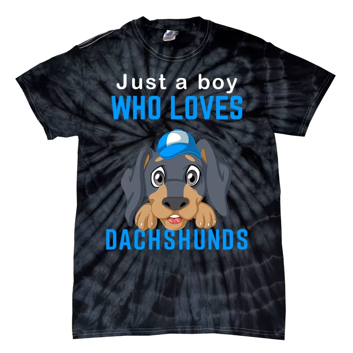 Just A Boy Who Loves Dachshunds Tie-Dye T-Shirt