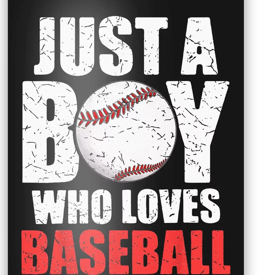 Just A Boy Who Loves Baseball Batter Catcher Pitcher Poster