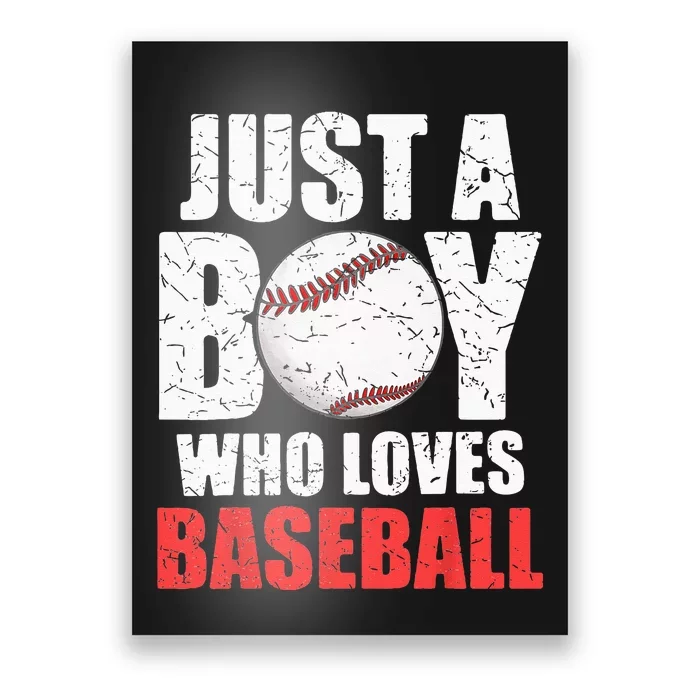 Just A Boy Who Loves Baseball Batter Catcher Pitcher Poster