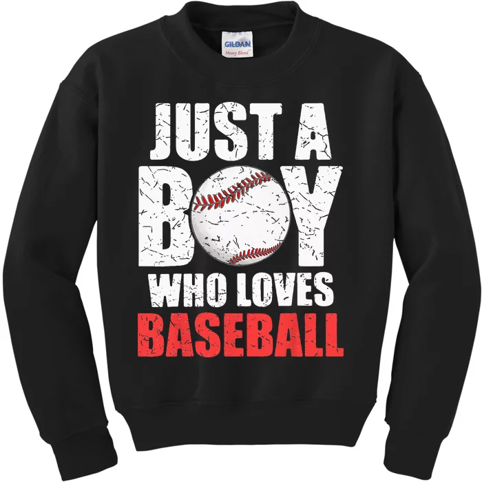 Just A Boy Who Loves Baseball Batter Catcher Pitcher Kids Sweatshirt