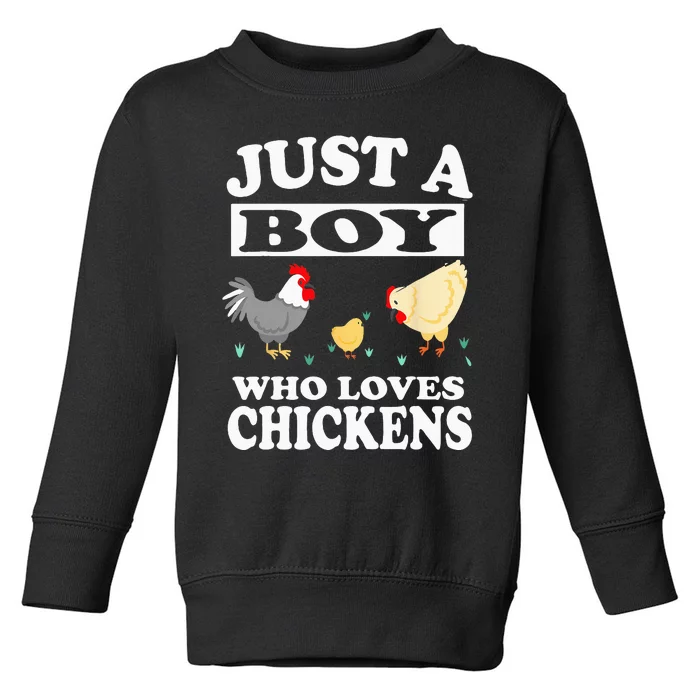 Just A Boy Who Loves Chickens Farm Chicken Gift Toddler Sweatshirt