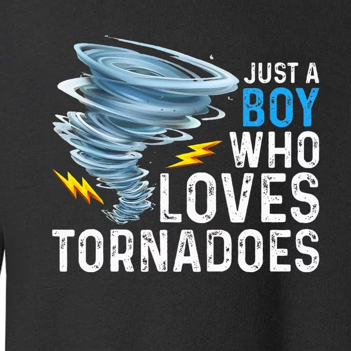 Just A Boy Who Loves Tornadoes Storm Weather Chaser Toddler Sweatshirt